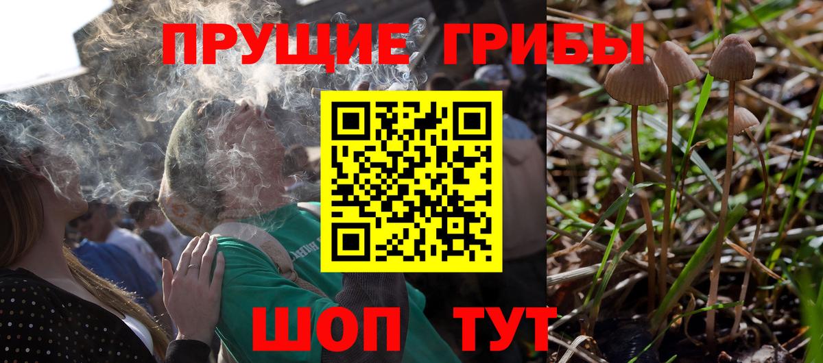 Галлюциногенные грибы Magic Shrooms Амурск